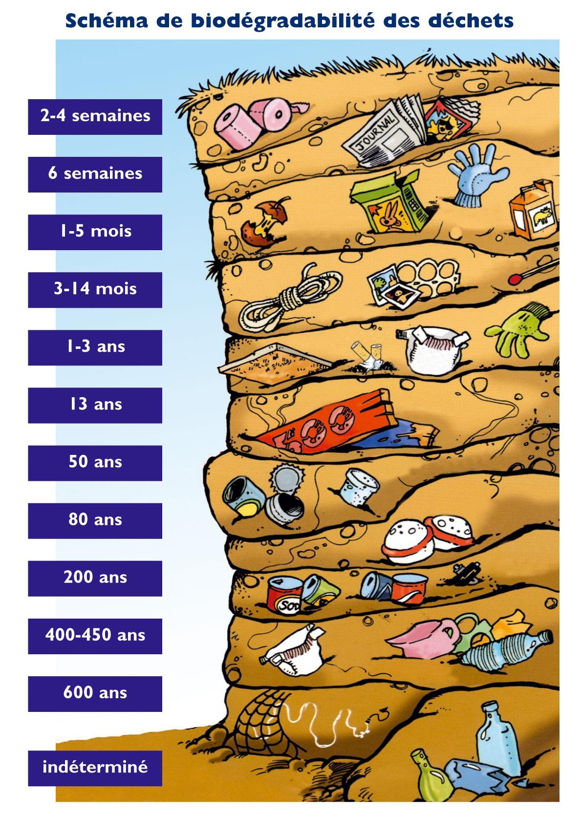 Durée de vie des déchets sur terre